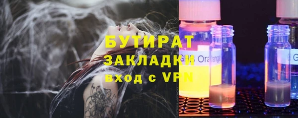 мдпв Вяземский