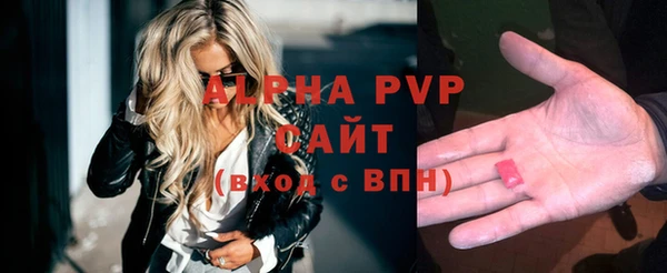 мдпв Вяземский