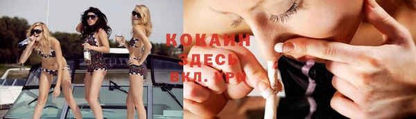 мдпв Вяземский