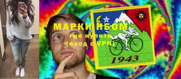 мдпв Вяземский