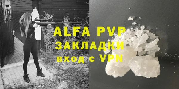 мдпв Вяземский