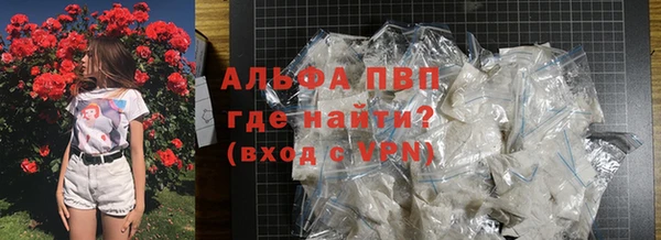 мдпв Вяземский